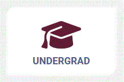 New undergrad website button