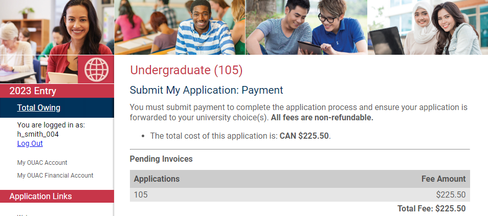 The Payment page in the 105 Application.